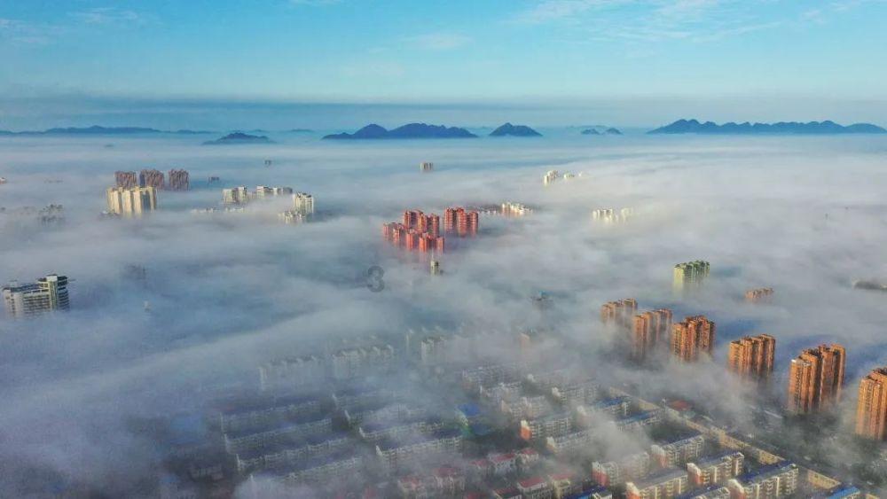 拯救铁笼中的小牛