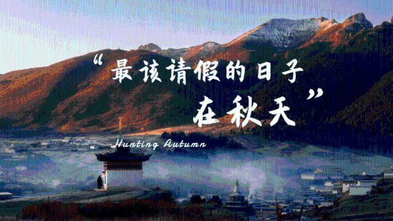 小猫钓鱼正版下载中文版