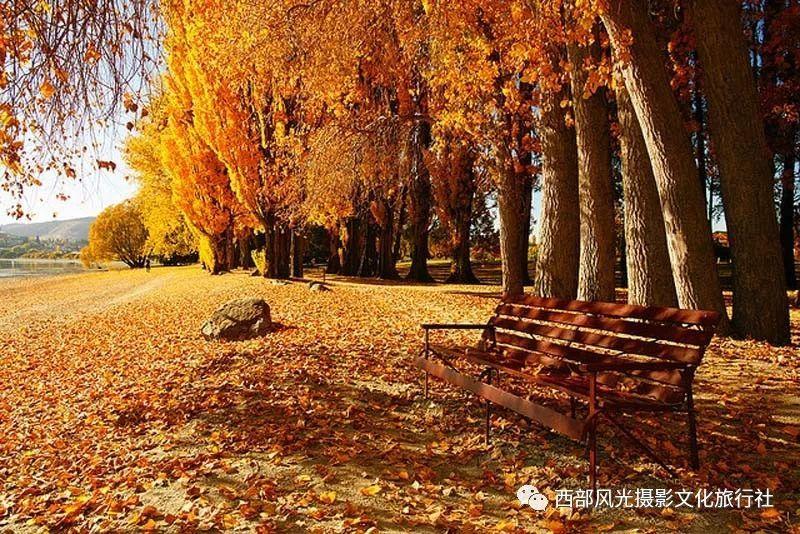 破碎的世界4