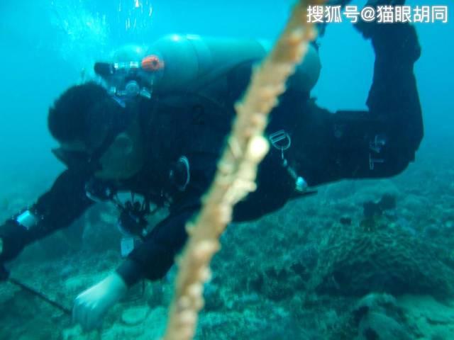 可爱的蜗牛拼图