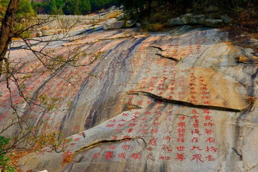 华宇软件接受来自嘉实基金等机构调研