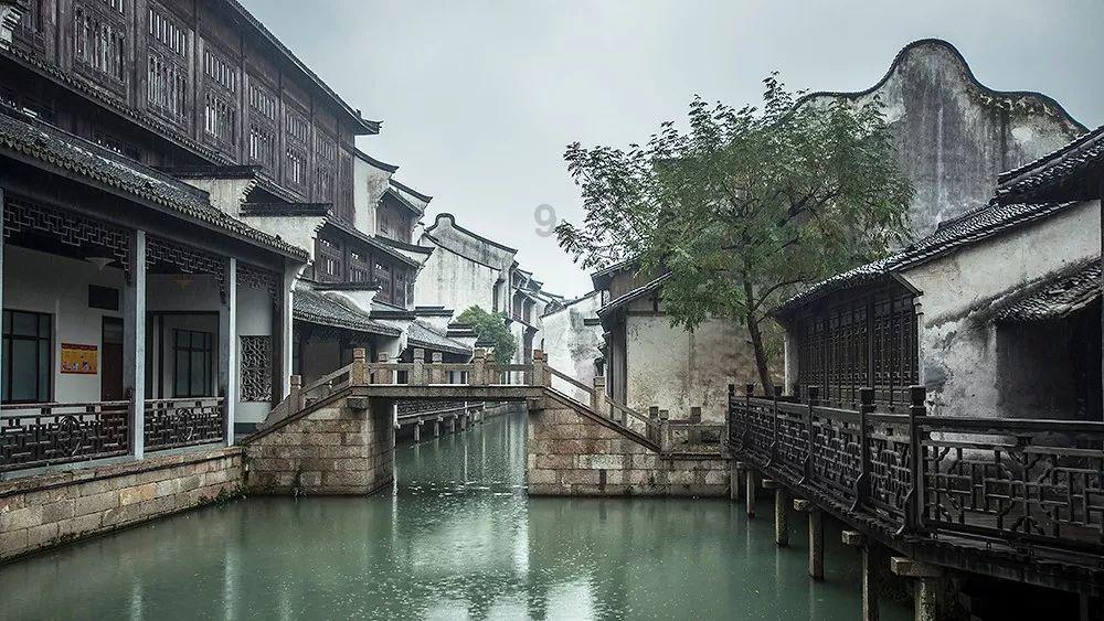 春雨直播app